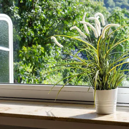 Detached Holiday In With Sun Terrace And A Lovely Garden * Bad Harzburg