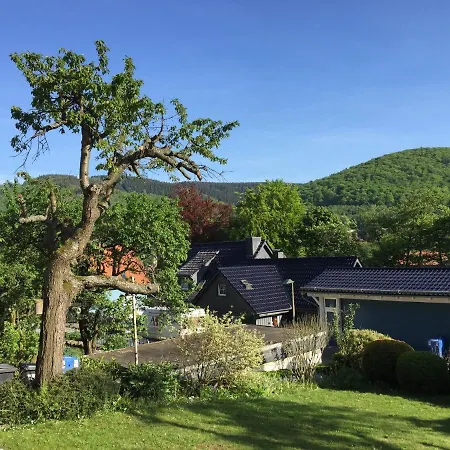 Detached Holiday In With Sun Terrace And A Lovely Garden Bad Harzburg